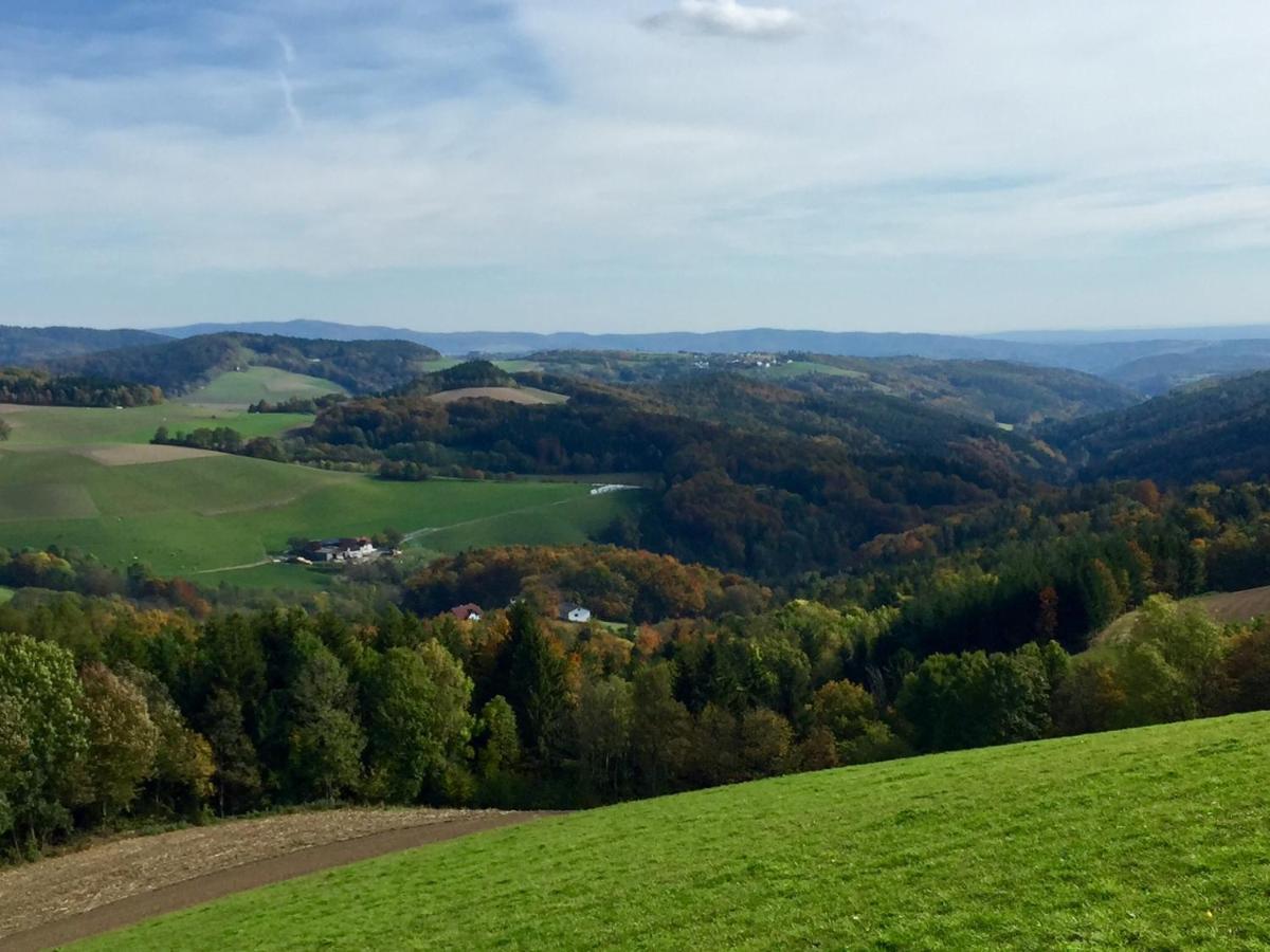 Blockhaus Chalet Mit Beheizbarem Badefass Und Infrarotsauna Auf Der Terrasse Oberschützen Eksteriør bilde