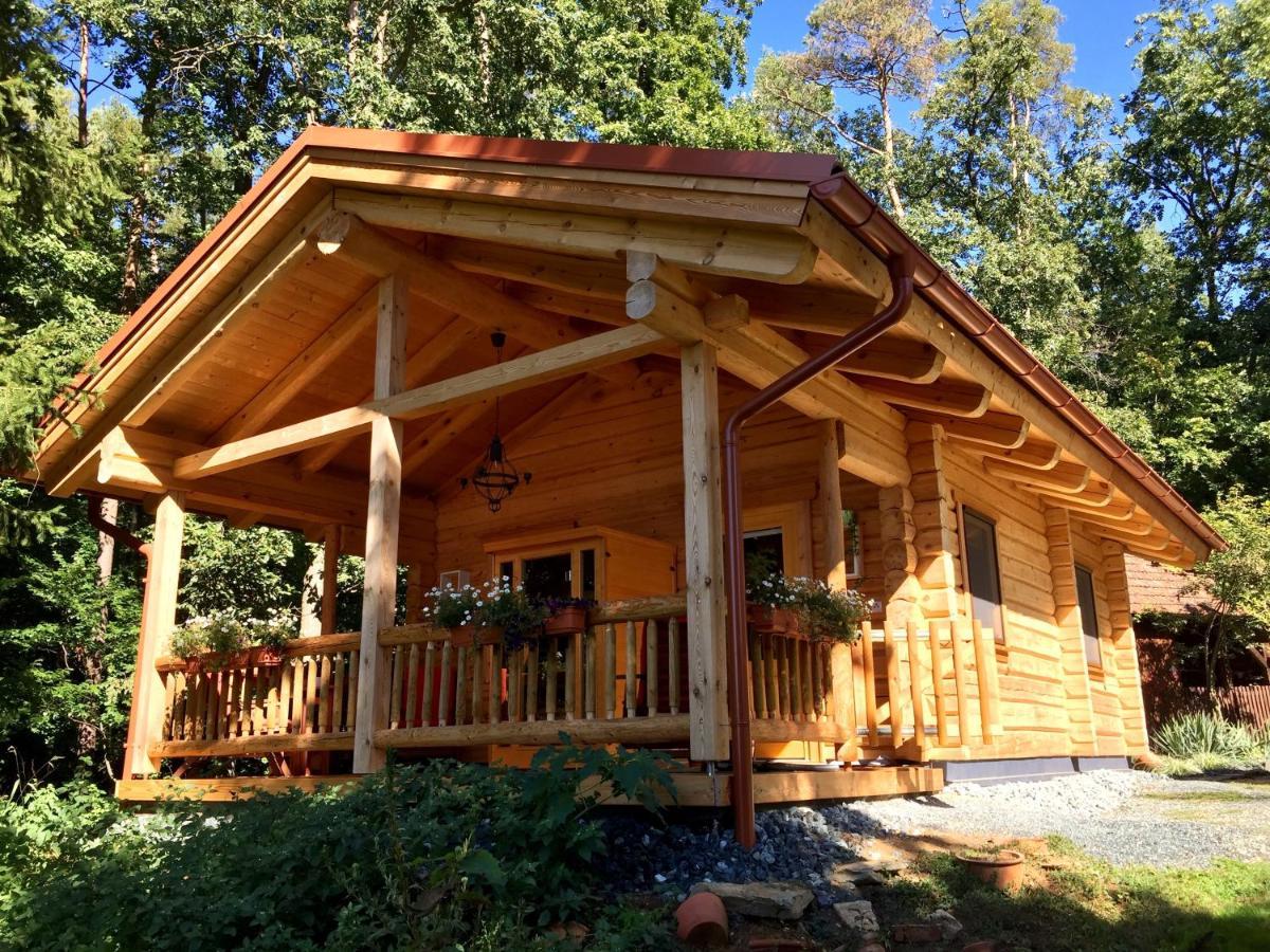 Blockhaus Chalet Mit Beheizbarem Badefass Und Infrarotsauna Auf Der Terrasse Oberschützen Eksteriør bilde