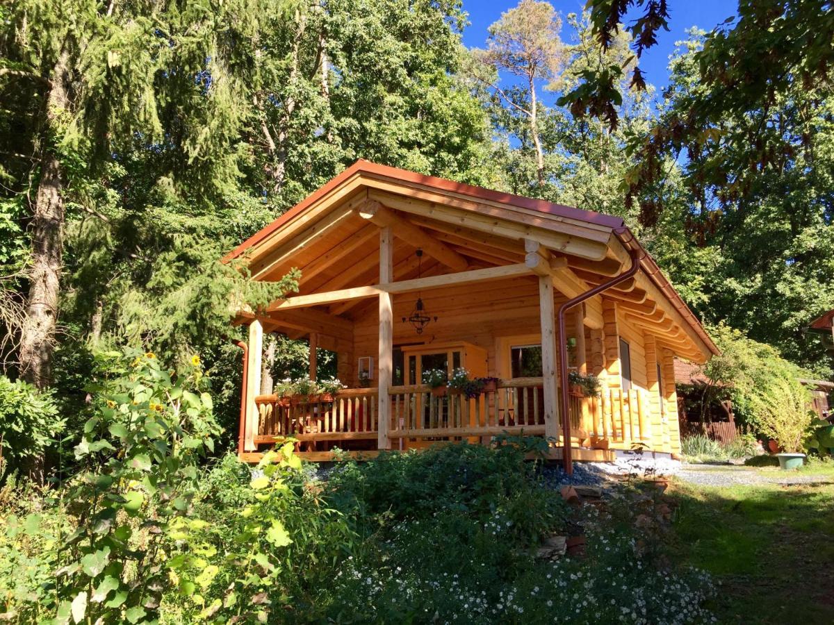 Blockhaus Chalet Mit Beheizbarem Badefass Und Infrarotsauna Auf Der Terrasse Oberschützen Eksteriør bilde